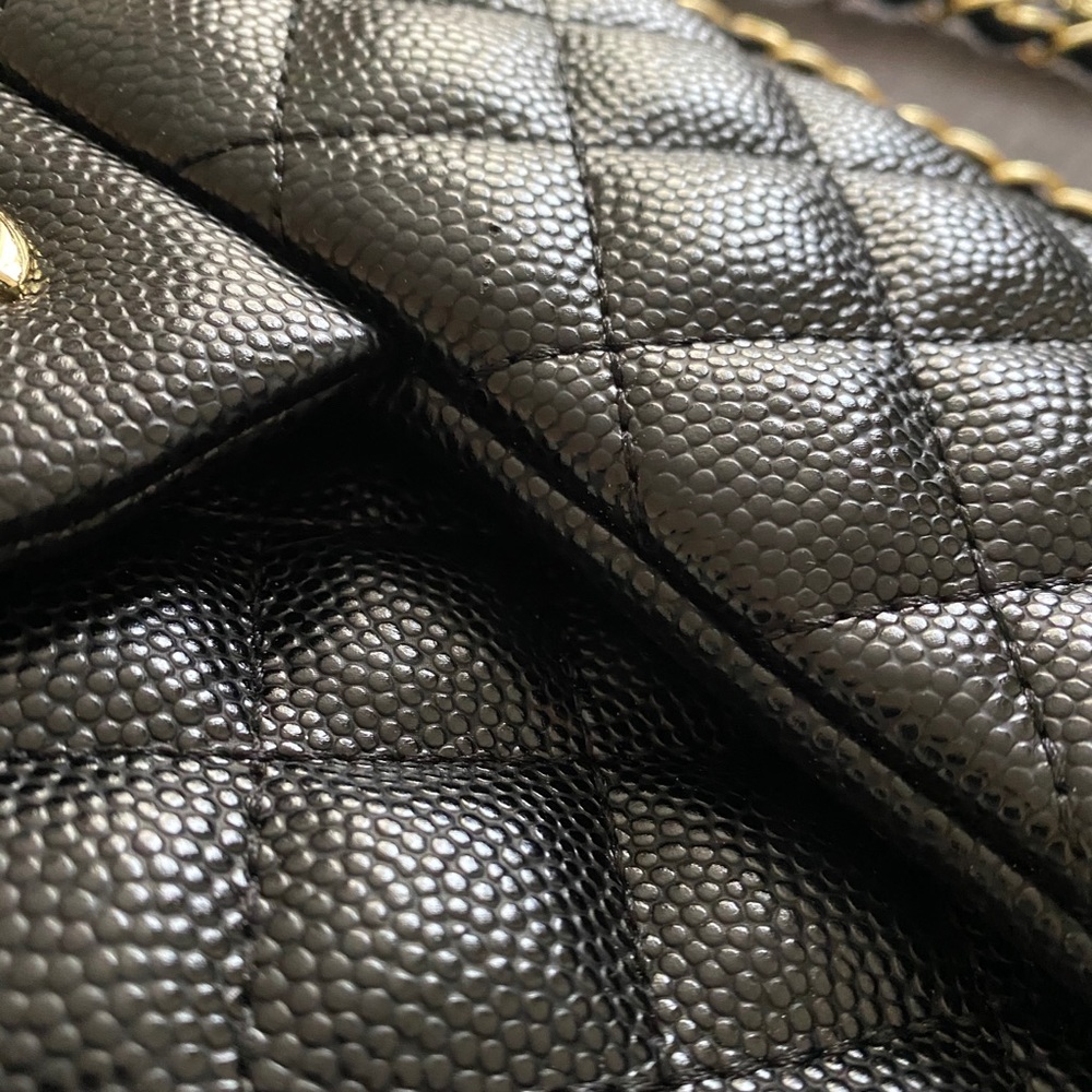Luxury Style Purse